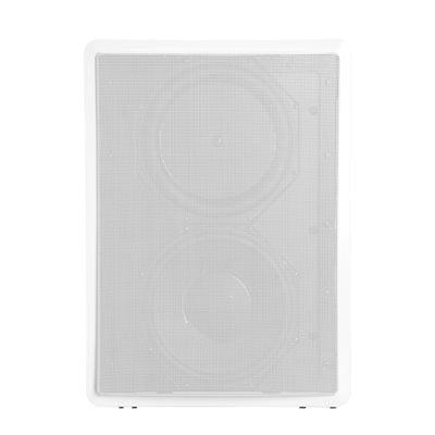 Definitive Techology 10" In-Wall Subwoofer IWSUB1010